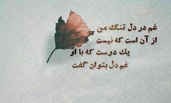 عکس نوشته دوست آن است که گیرد دست دوست
