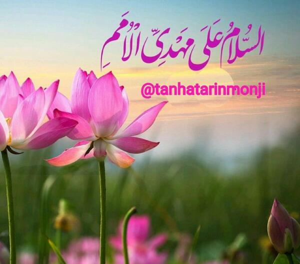 عکس مذهبی گل نرگس