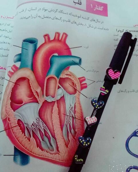 عکس کتاب زیست برای پروفایل