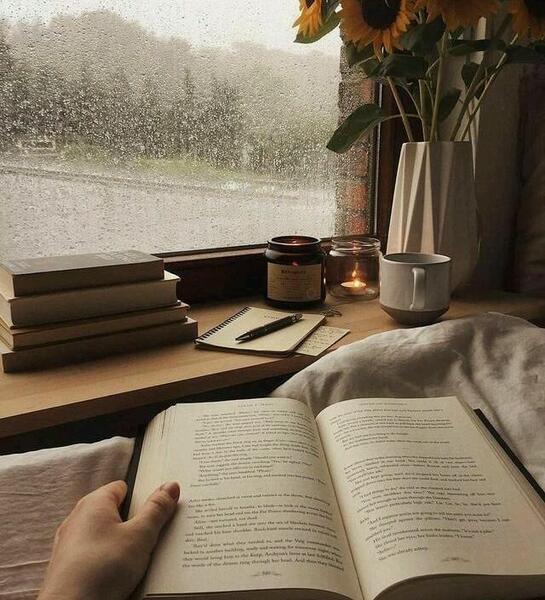 عکس های کتاب برای پروفایل دخترونه