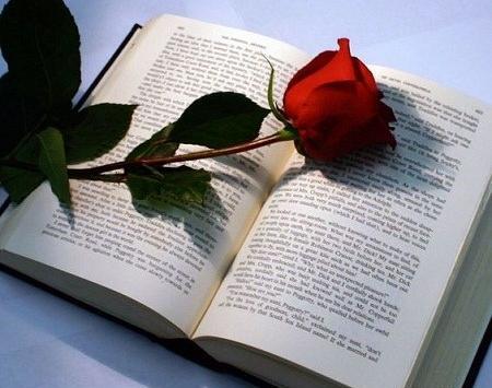 عکس گل روی کتاب برای پروفایل