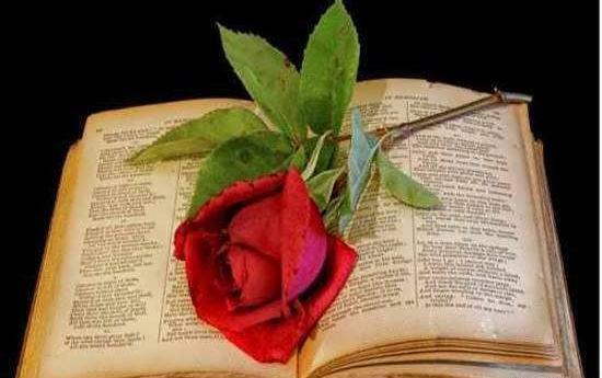 عکس زیبا از کتاب برای پروفایل