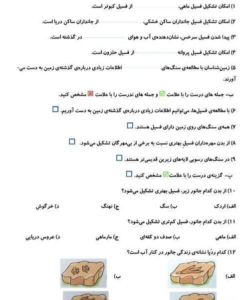 عکس فسیل کبوتر