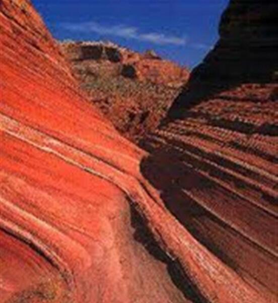 عکس سنگ رسوبی فسیل دار
