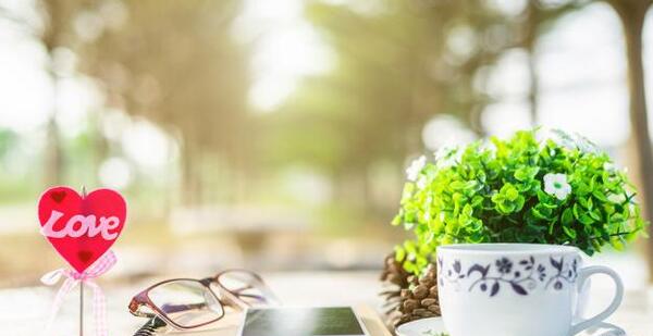 عکس کتاب و فنجان برای پروفایل