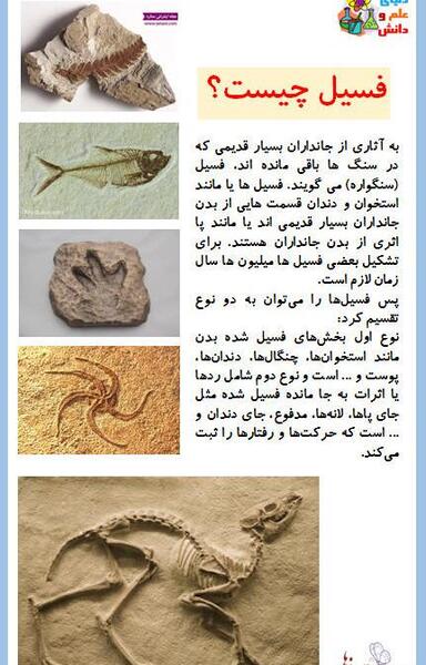 عکس فسیل با گل رس