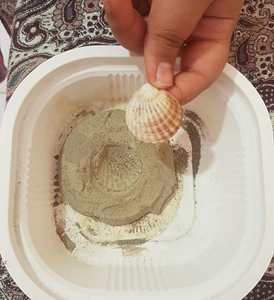 عکس فسیل با گل رس