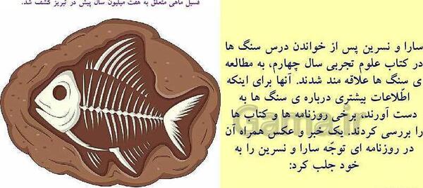 عکس فسیل ماهی در تبریز