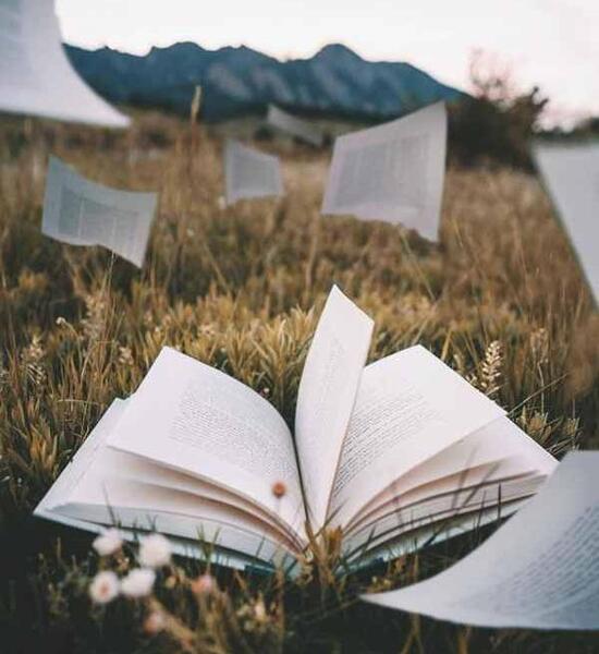 عکس کتاب برای پروفایل طبیعی