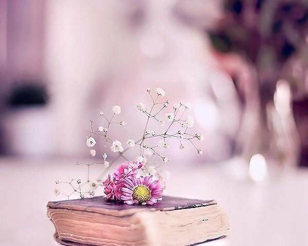عکس کتاب برای پروفایل طبیعی