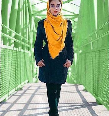 عکس فسیل پروانه