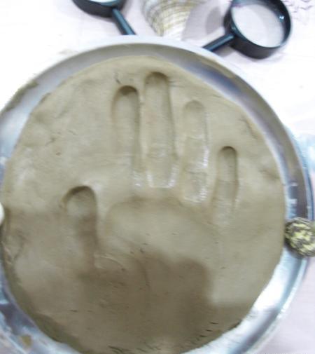 عکس ساخت فسیل