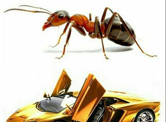 عکس ماشین لامبورگینی سرعت