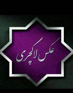 عکس لباس گپ
