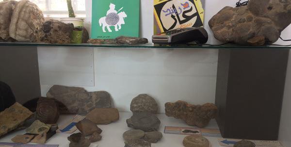 عکس فسیل جلبک