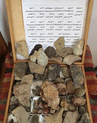 عکس فسیل جلبک