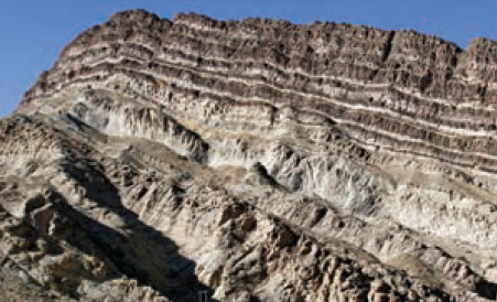 عکس فسیل سنگ رسوبی