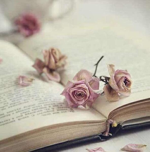 عکس گل و کتاب برای پروفایل