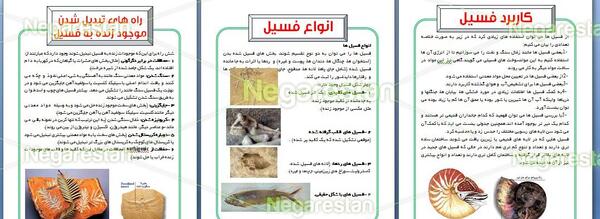 عکس کاربرد فسیل