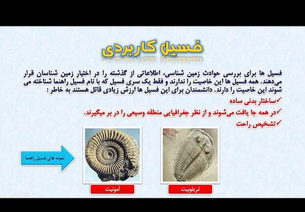 عکس کاربرد فسیل