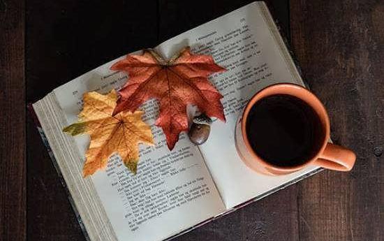 عکس چند تا کتاب برای پروفایل