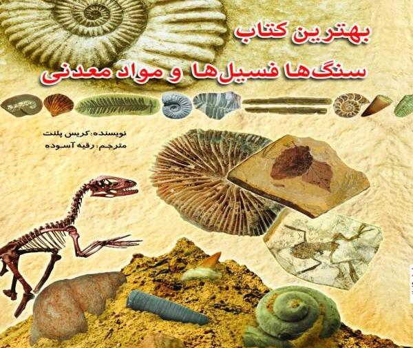 عکس نقاشی فسیل ها