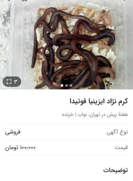 عکس زهرمار