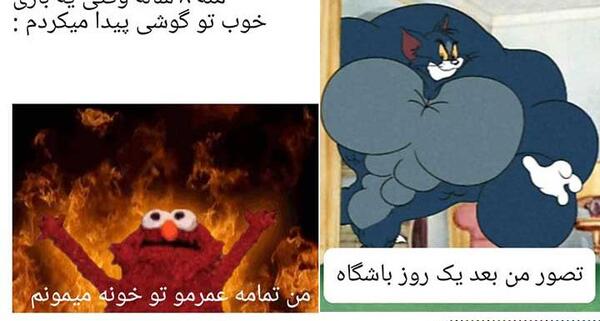 عکس میم خام