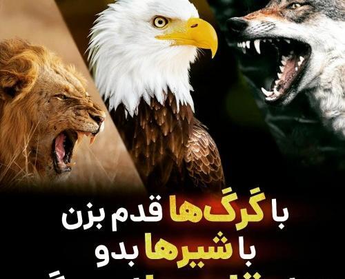 عکس انگیزشی عقاب