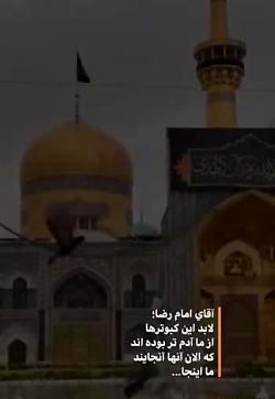 عکس استوری واتساپ امام رضا
