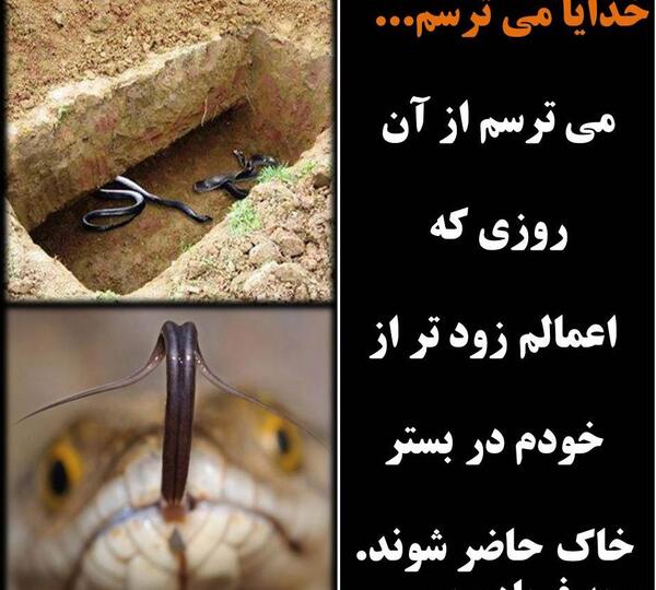 عکس مار قبر