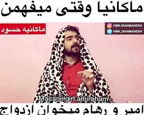 عکس سگ امیر مقاره مایا