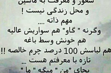 عکس نوشته بیشعوری