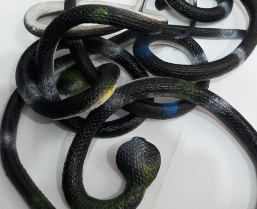 عکس مار ژله ای