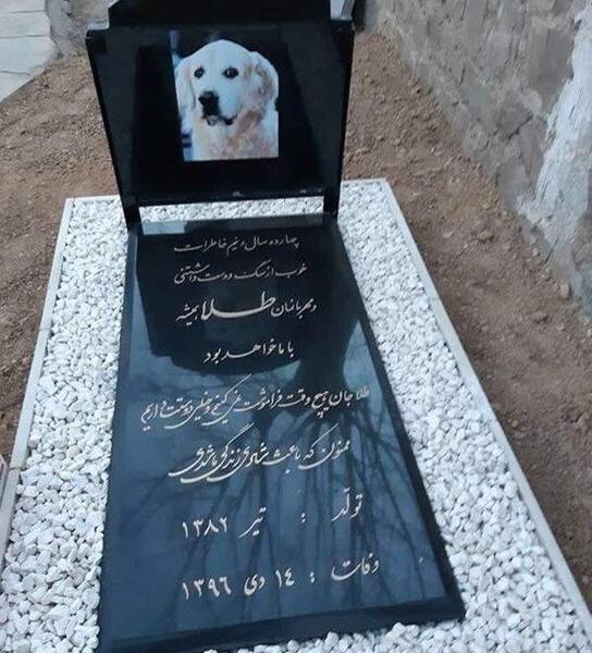 عکس روح سگ