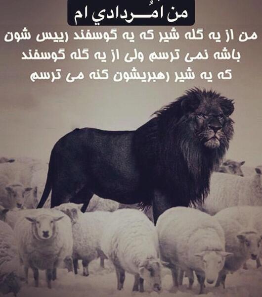 عکس شیر با شعر