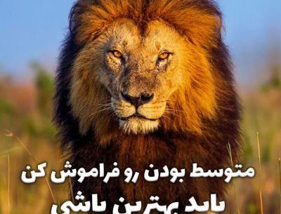 عکس انگیزشی شیر