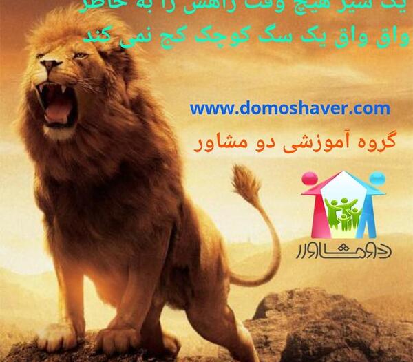 عکس انگیزشی شیر