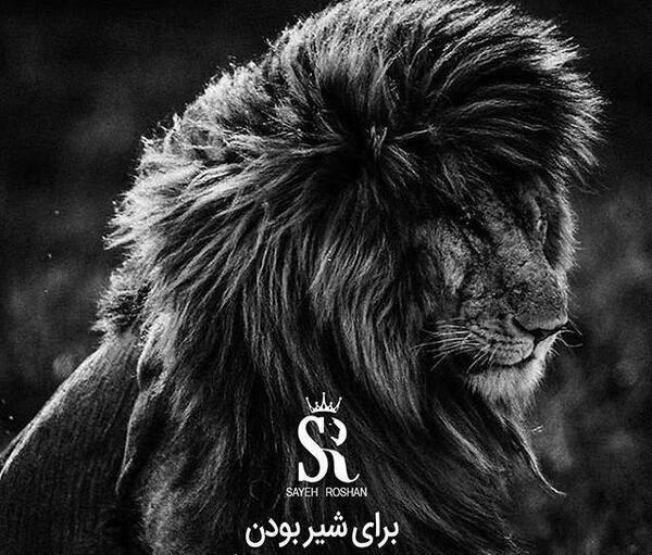 عکس انگیزشی شیر
