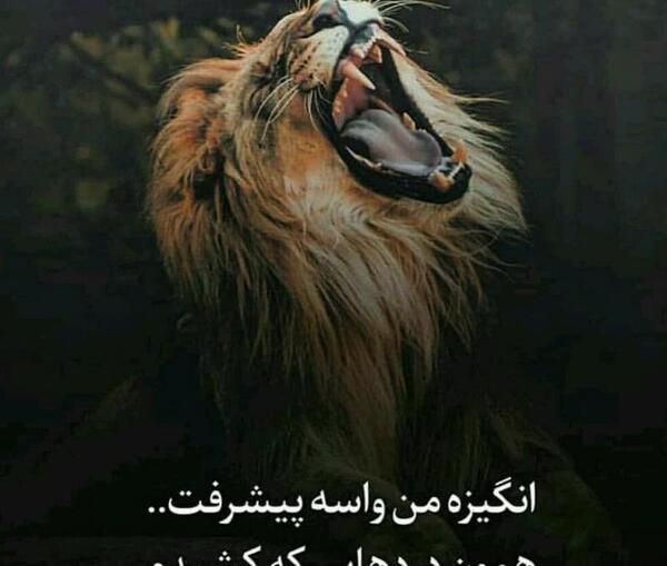 عکس انگیزشی شیر
