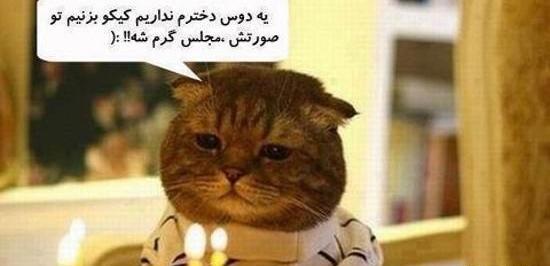 عکس میم گریه