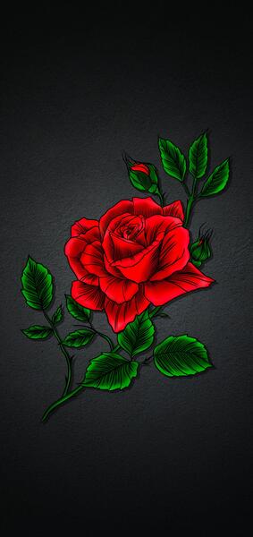 عکس تصویر زمینه گل
