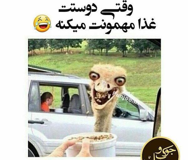 عکس میم دار