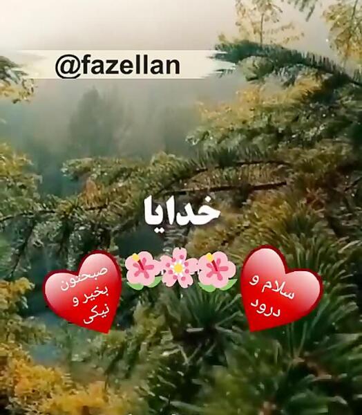 عکس استوری واتساپ صبح بخیر