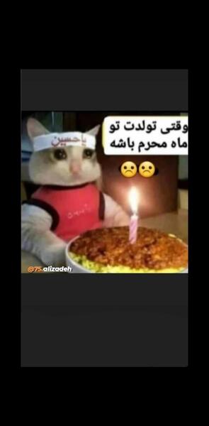 عکس طنز وقتی تولدت تو محرم باشه