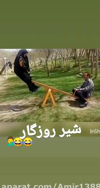 عکس شیر روزگار