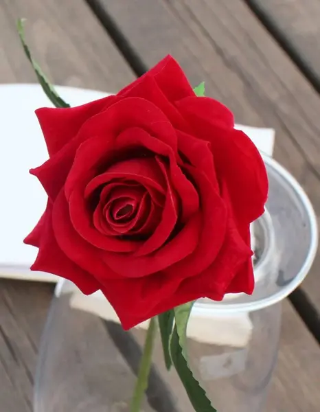 عکس پروفایل گل زیبا