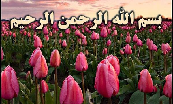 عکس بسم الله الرحمن الرحیم زیبا گل