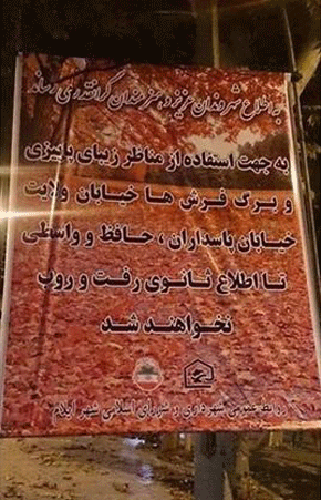 عکس روح لطیف