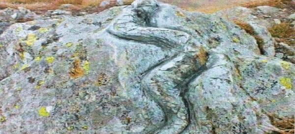عکس مار گنج